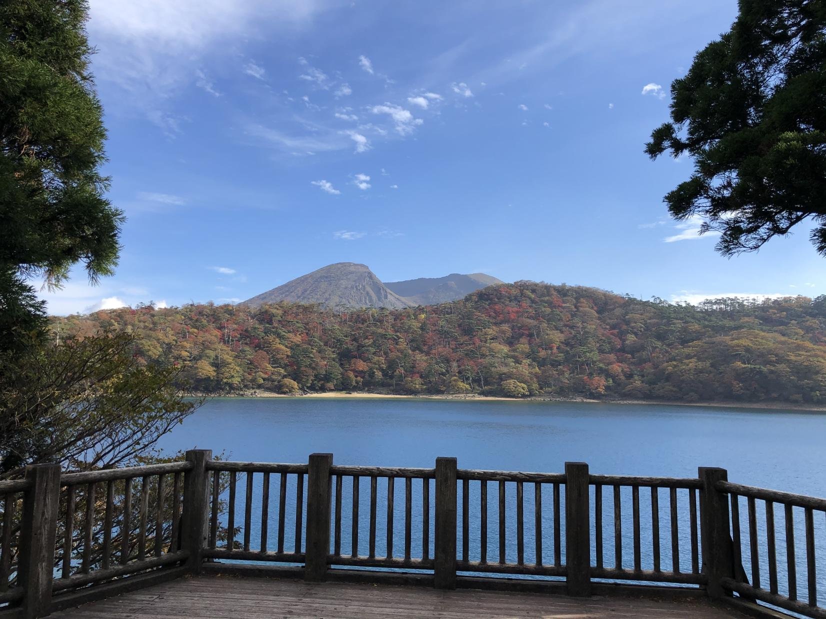 🏞️ 에비노 생태 박물관 센터(에비노 에코뮤지아무센타) 이미지 7